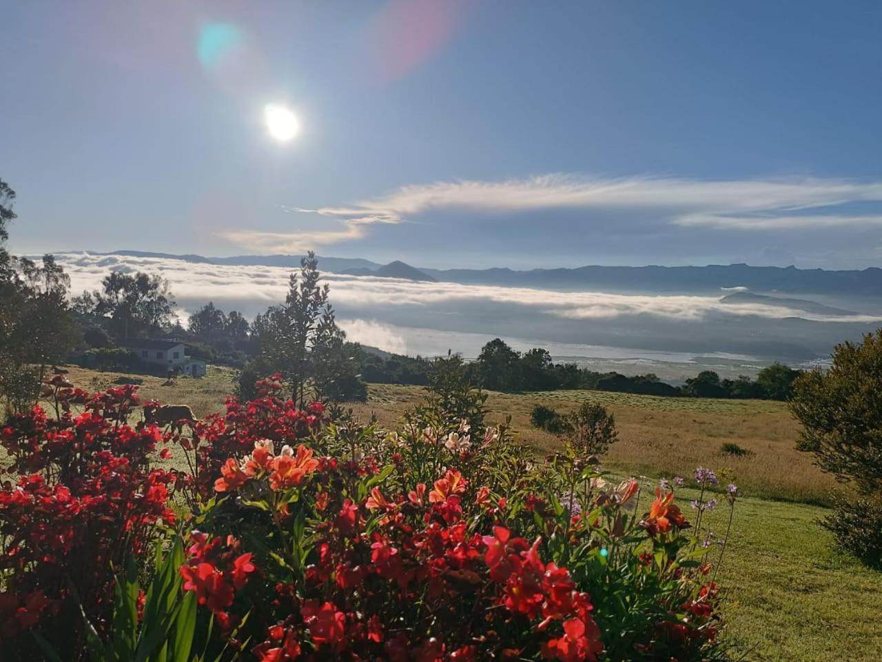 Glamping Hermoso Amanecer Guatavita Extérieur photo
